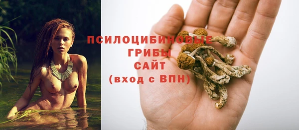 apvp Абаза