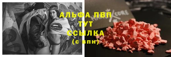 эйфоретик Новозыбков