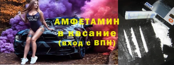 apvp Ельня